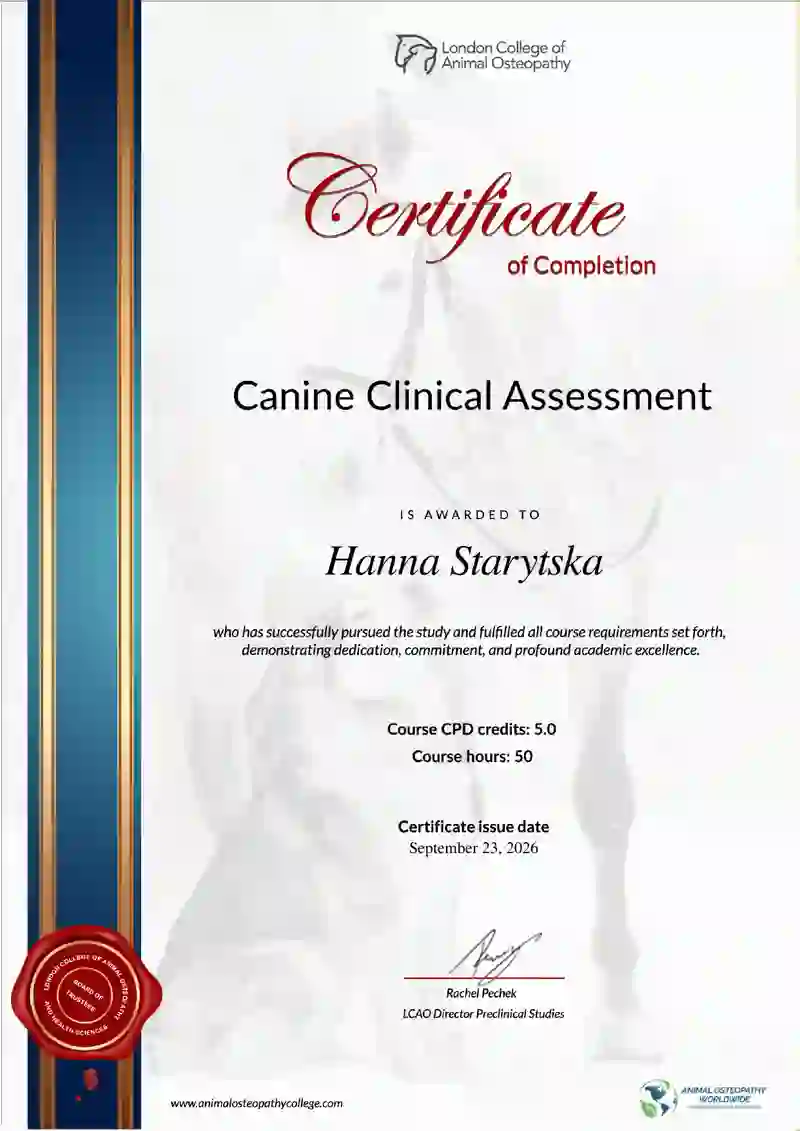Clinical Assessment & Gait Analysis